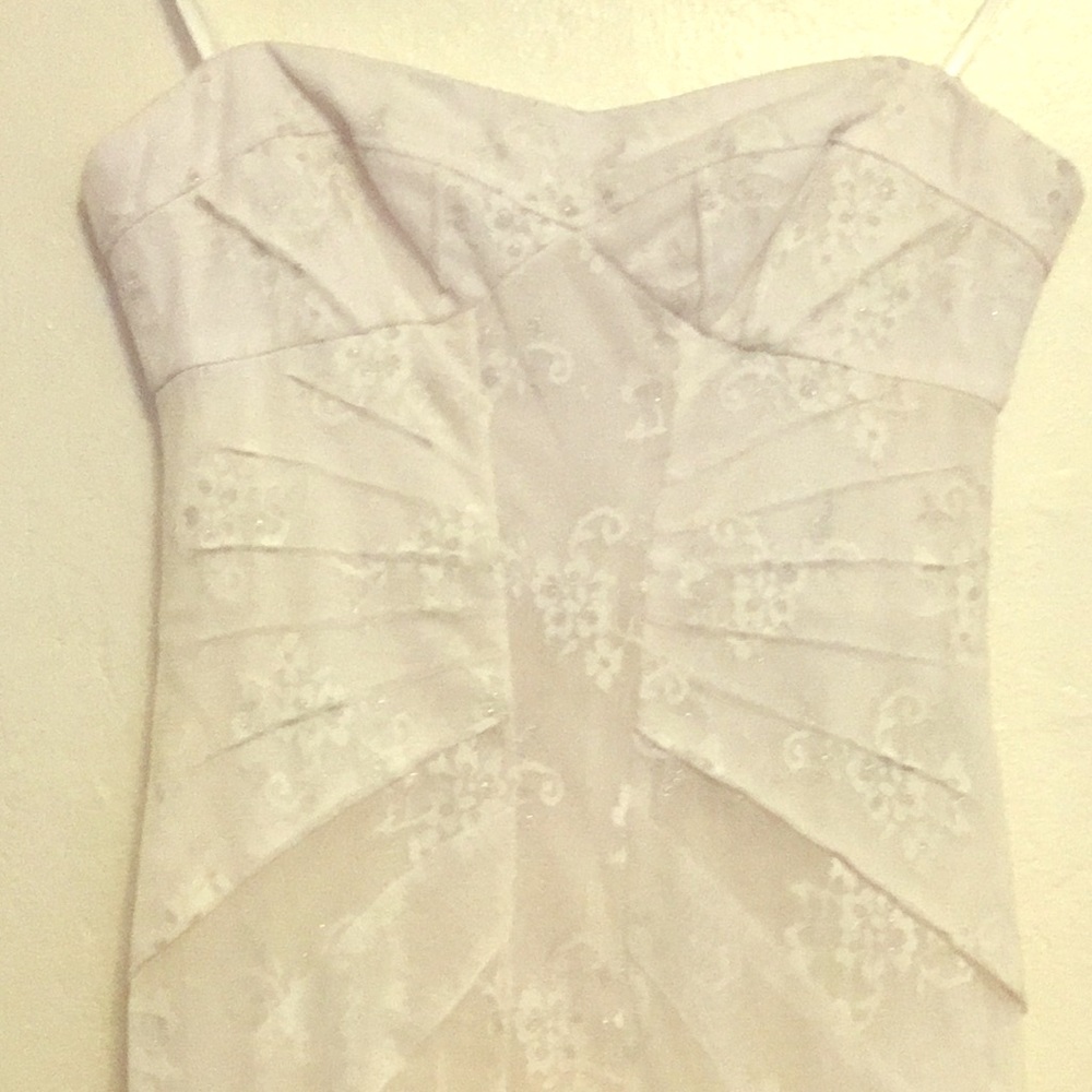 Stunning BCBG Maxazria dress